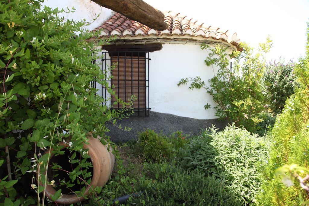 Cuevas Del Zenete Apartman Alcudia de Guadix Kültér fotó
