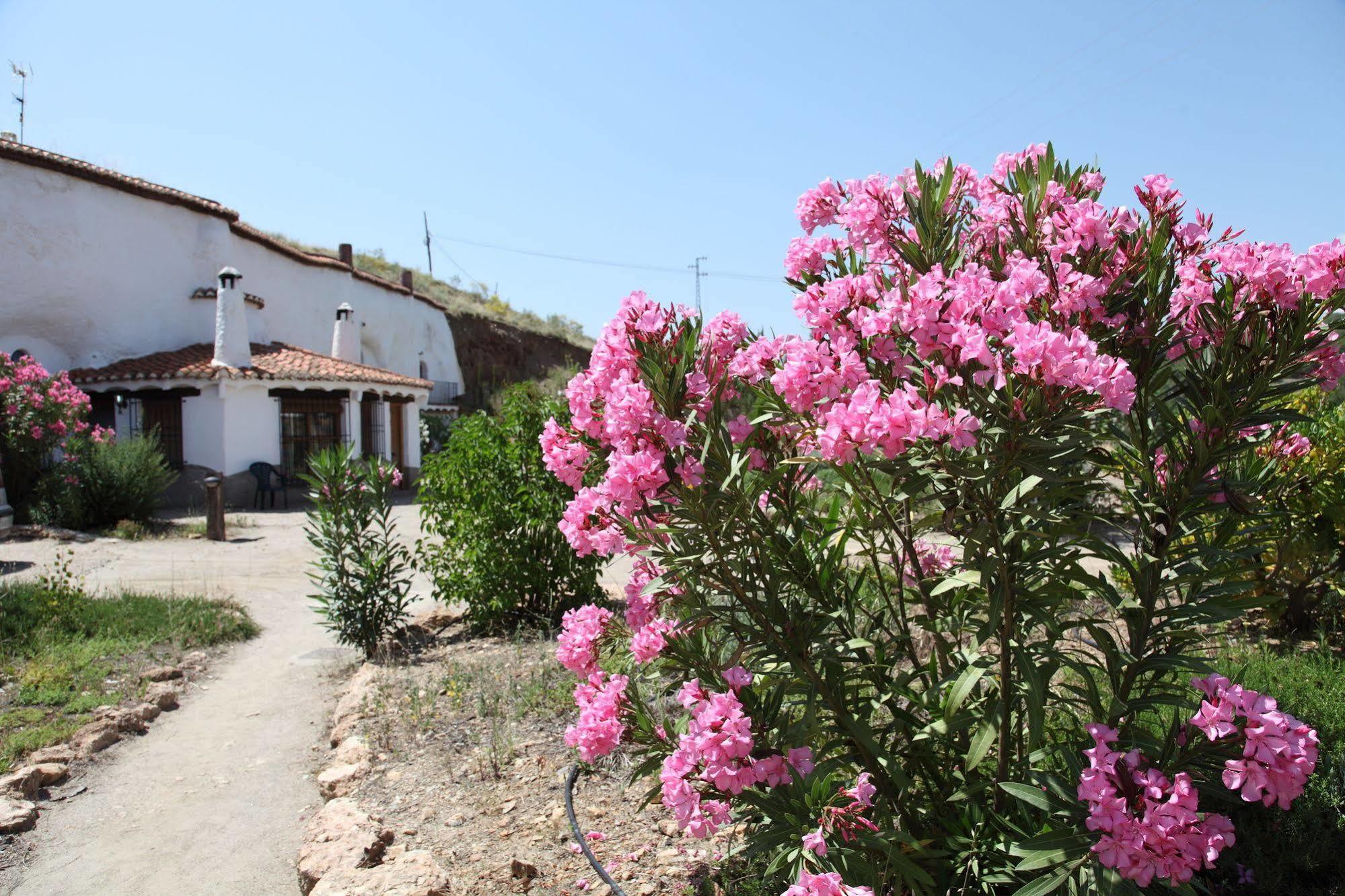 Cuevas Del Zenete Apartman Alcudia de Guadix Kültér fotó